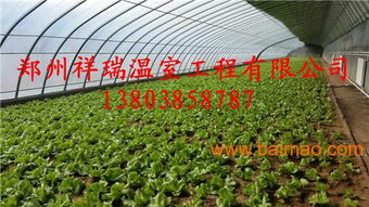 單體蔬菜大棚簡易大棚設(shè)計(jì)建造商大棚配件銷售,單體蔬菜大棚簡易大棚設(shè)計(jì)建造商大棚配件銷售生產(chǎn)廠家,單體蔬菜大棚簡易大棚設(shè)計(jì)建造商大棚配件銷售價(jià)格