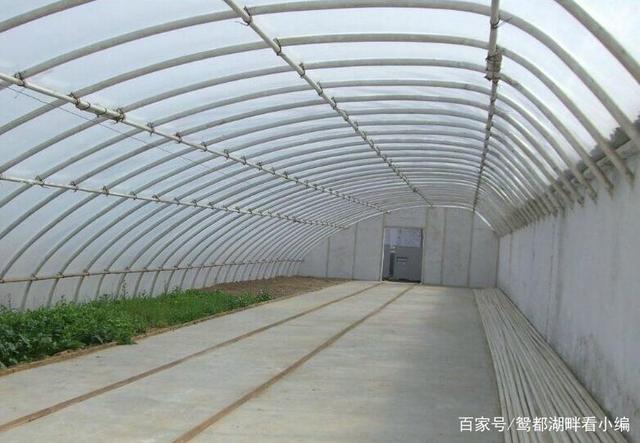 建一個(gè)一畝地的蔬菜大棚需要多少錢？